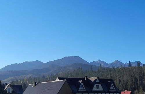 Domki nad Borem - Foto 10