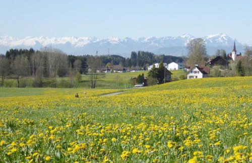 Ferienwohnung Säntisblick - Foto 23