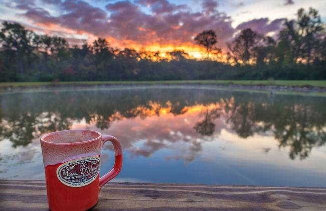 Maison D'Memoire Bed & Breakfast Cottages - Foto 56