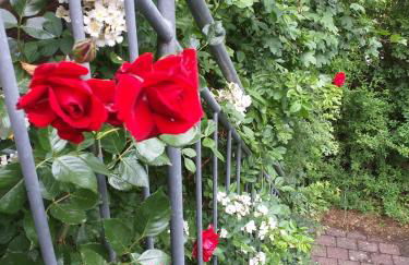 Idyll in Ammerseenähe mit Blick ins Grüne - Foto 24