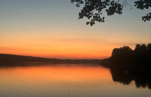 Mierunia Nature - Foto 32