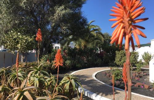 Casa Beatriz - Photo 8