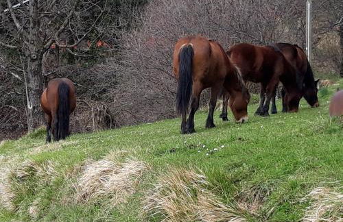 Antiche atmosfere... - Foto 41