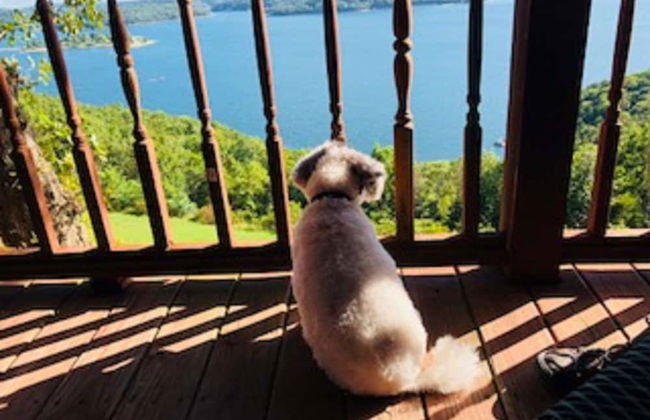 Sugar Ridge Resort - Foto 40