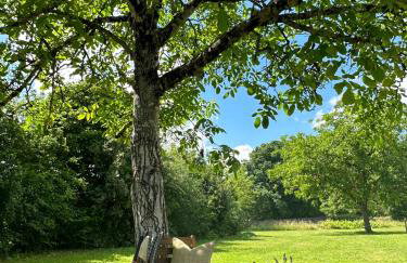 Luxury 3 Bed Home with Heated Swimming Pool Air Con and Boules Pitch - Foto 25