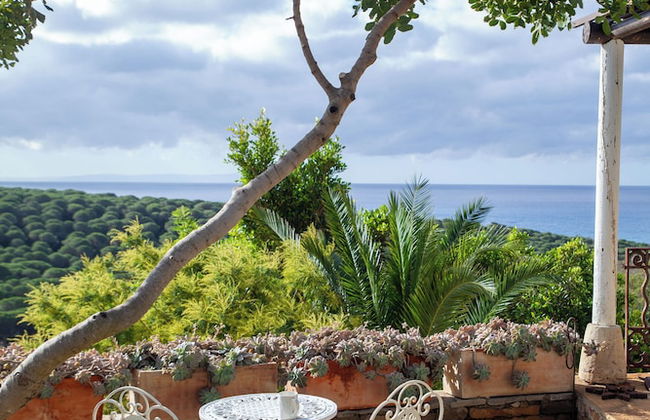 Love Garden - Photo 43