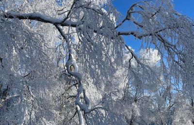 Ferienhaus mit Sauna, Wintergarten und Terrasse im schönen Hochtaunus - Foto 78