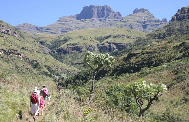 Ardmore Guest Farm - Photo 35