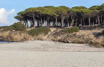 Marea Apartment - Foto 27