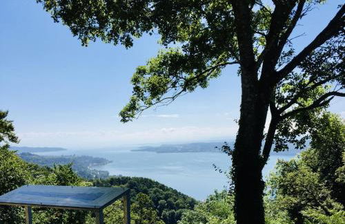 Blick ins Grüne - Foto 33