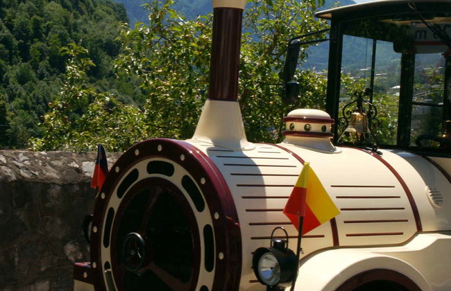 Tren turístico de Vaduz - Foto 1