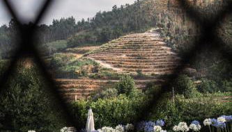 Burra Velha - AL by Villa Seara - Foto 5