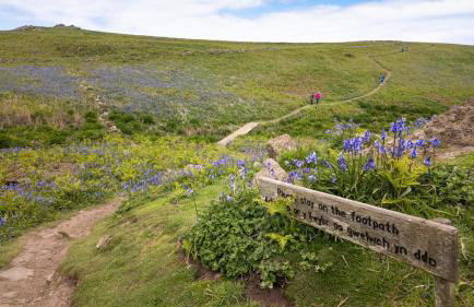 6 Bed in Ludchurch oc-m29751 - Foto 22