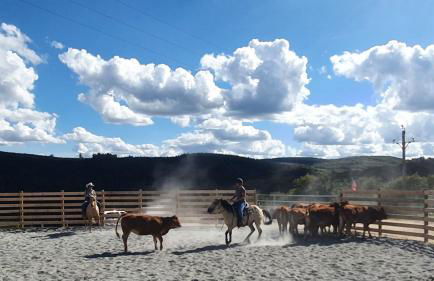 Gite équestre, belle maison ancienne en pierre - Foto 19