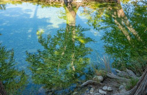 Frio Rivers Edge in the Heart of Hill Country cabin - Foto 35