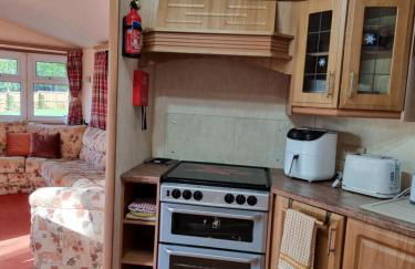 The Duck - Free Fishing, pets welcome - static caravan in Clare, Suffolk - Foto 7