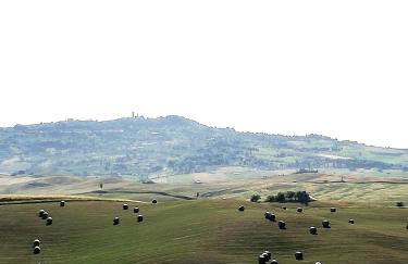 Agriturismo La Spiga - Foto 6