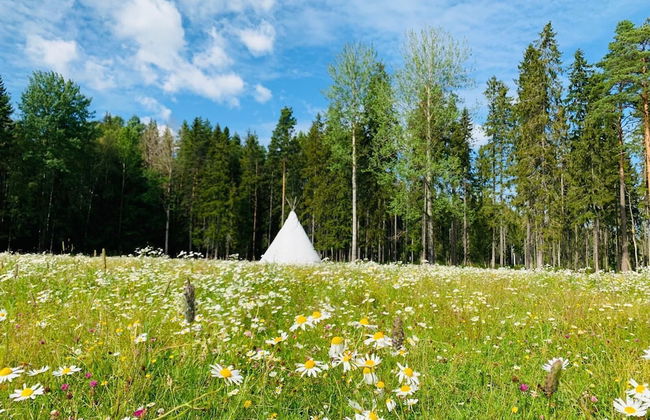 Treehouse Magpies Nest With Bubble Pool - Foto 20