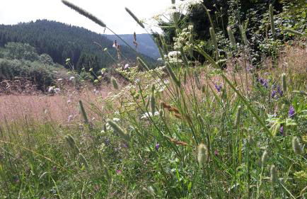 Ferienwohnung Mia - Foto 44