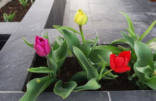 el rincon de la higuera - Foto 20