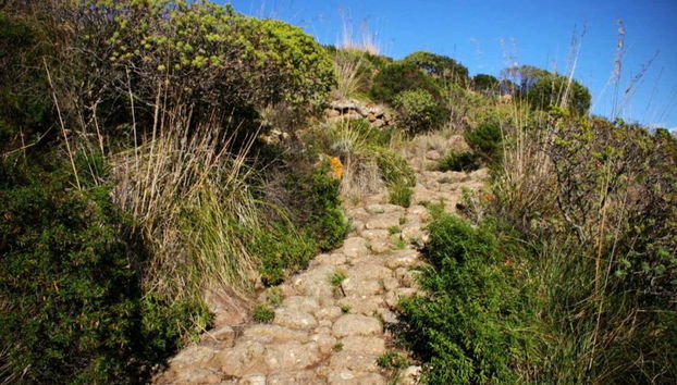 Camino empedrado de Pantelaria