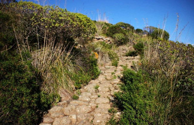Tour privado de bicicleta por Pantelaria - Foto 3