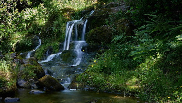 Macdonald Forest Hills Resort - Photo 2