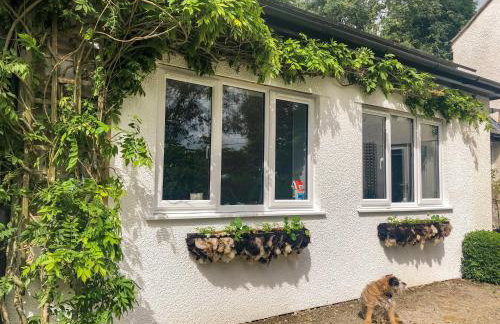 Primrose End - Foto 15