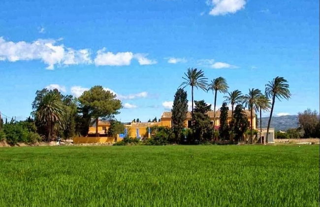 Mas De Bernis 1888 - Photo 30