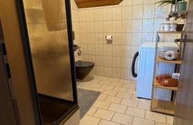 Pension Schmidt - Wipfelblick - Voll ausgestattetes Loft Apartment - Foto 11