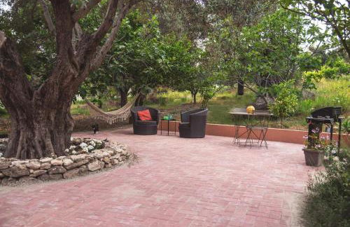 Timpa Bianca - Foto 40