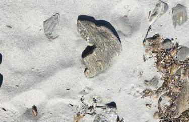 Villetta DESSANAI - Foto 45