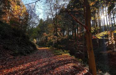 Idyllische Ferienwohnung nahe Nürburgring - Foto 13