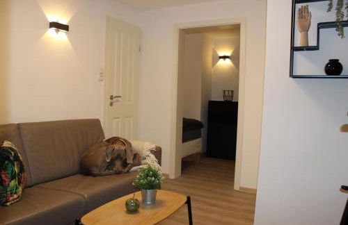 KLEINE SOUTERRAIN WOHNUNG NÄHE HAMBURG - Foto 21