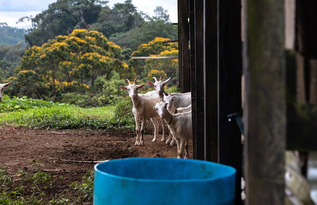La Finca Azul - Foto 56