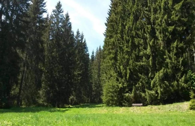 Gorgeous Holiday Home in Altenfeld Thuringia - Foto 67