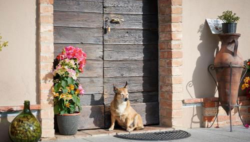 Agriturismo Cascina Sciulun - Foto 4