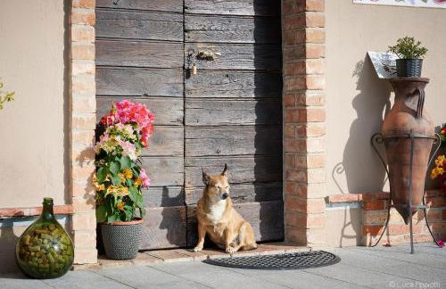 Agriturismo Cascina Sciulun - Foto 4