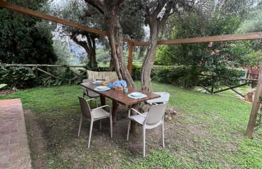 'Impy' House - Foto 36