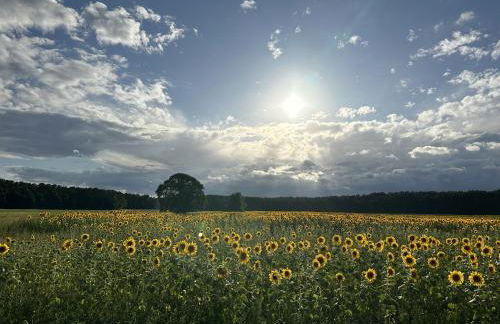 Urlaub auf dem Land - Foto 15