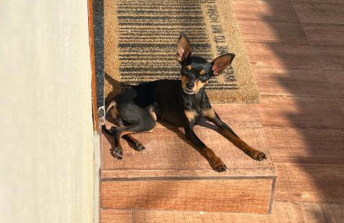 Solar das palmeiras - Foto 5