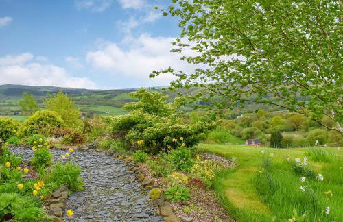 Field View - Foto 22