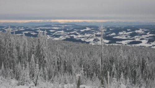 Apartment Birkenhain by Interhome - Foto 4