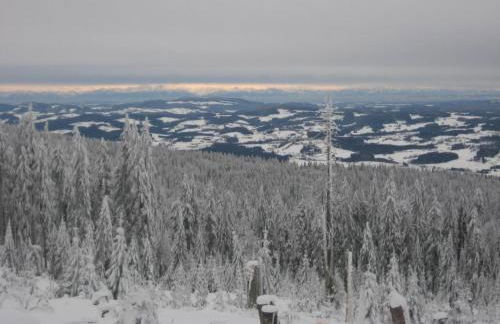 Apartment Birkenhain by Interhome - Foto 4