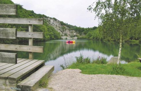 Holiday Home In Montsernelle - Foto 24