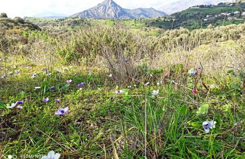 Il Silenzio - Foto 44