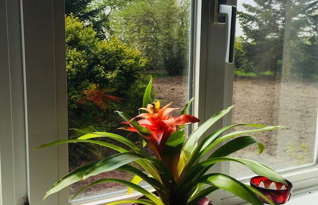 Holiday Home Rejsby near Rømø - Foto 65