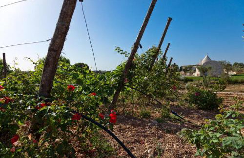 Borgo Del Tempo Ritrovato - Luxury Relais in Puglia - Foto 58