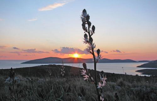 Apartment Lavanda - Photo 33