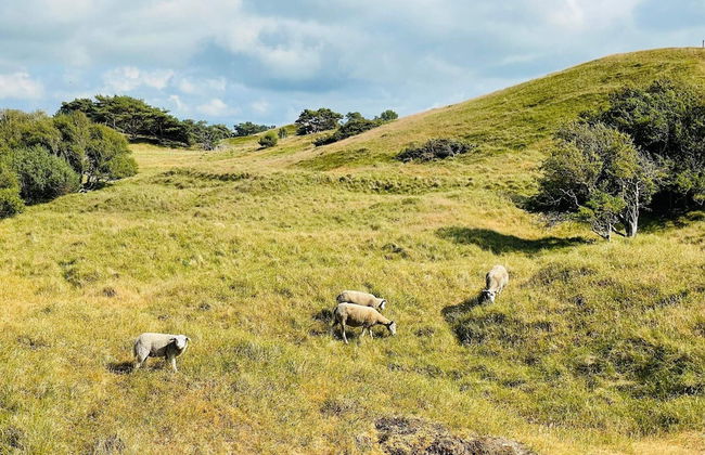 Chic Holiday Home in Hovedstaden near Sea - Foto 22